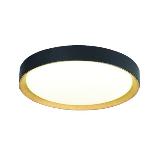 VIOKEF Ceiling Lamp Black  Spirited - VIO-4271101