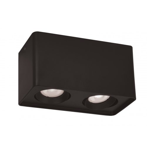 VIOKEF 2/L Ceiling Lamp Black Arion - VIO-4279901